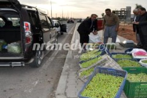 Yol Üzerinde Zeytin Satışları