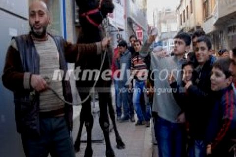 Deve ile Nizip Şehir Turu