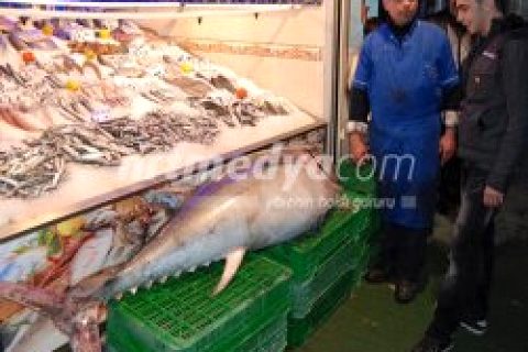 96 kiloluk orkinos görenleri hayrete düşürdü