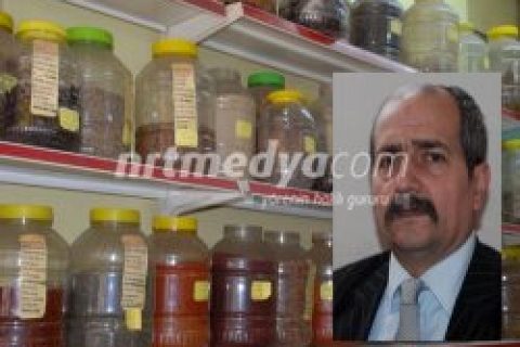 Doğal Bitkilerin Önemi