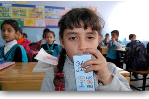 Nizip'te Okul Sütü Dağıtımına Başlandı