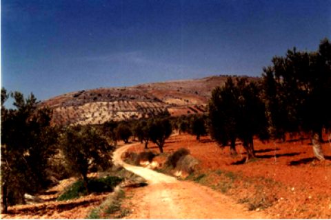 Budam Zamanı
