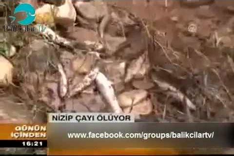Video: Nizip Çayı Ölüyor (14.11.2012)