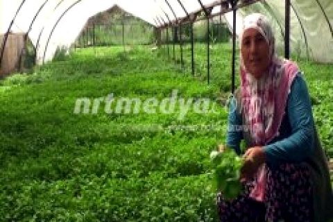 Video:   KADIN GİRİŞİMCİLERİN BÜYÜK BAŞARISI