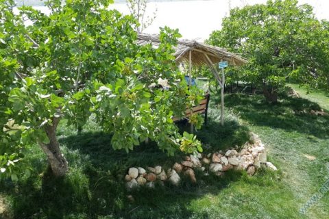 Zeugma Saklı Bahçe Piknik alanı
