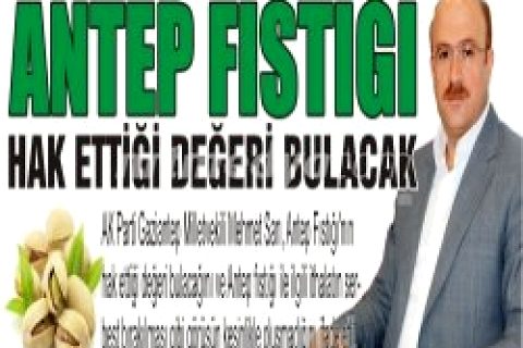 Antep Fıstığı Hak Ettiği Değeri Bulacak