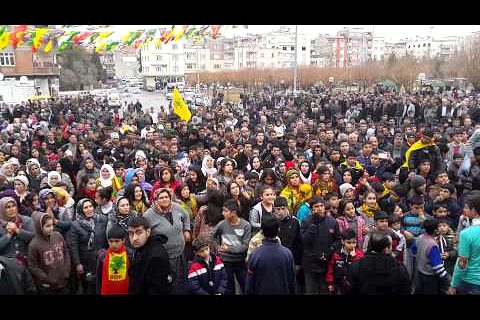 Video: Bdp nizip secim burosu acilisi