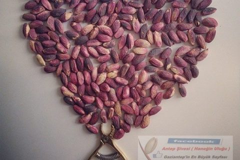 Photo - Aşk- Fıstık