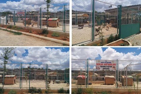 Nizip belediyesi hayvan rehabilitasyon barınağı