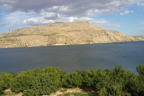 AŞAĞIÇARDAK köyü muhtarı telefonu bilgileri