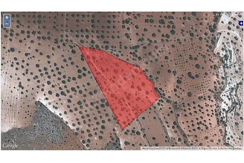 Taşbaşta 6200m2 Bağ & Bahçe