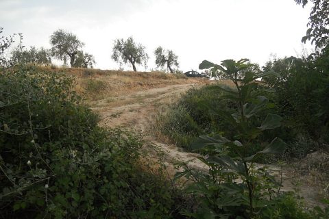 Sahibinden uluyatırda bahçe