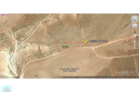140m YOLA CEPELİ ZİRVE KONUMLU 7200M BOŞ TARLA