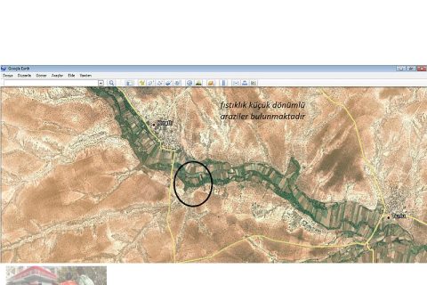 Gaziantep nizip kıratlı köyunde satıık arazi
