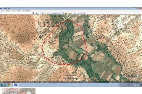 Gaziantep nizip kıratlı koyunde satılık uygun arazi