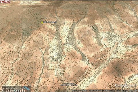 Garanti GYO'dan.Nizip Yeniyazı köyü Fıstıklık ve Zeytin arazisi,