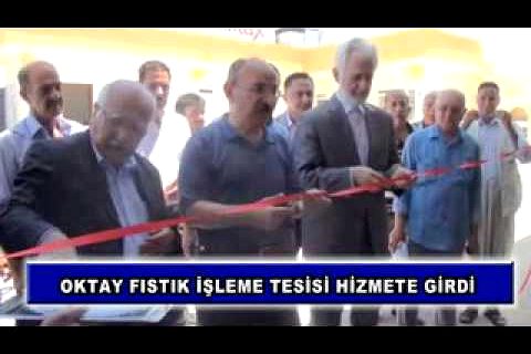 03 oktay fıstık işleme tesisi hizmete girdi