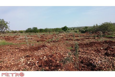Nizip kocatepe satlık arazi 2200 metre 40 bin tl ye