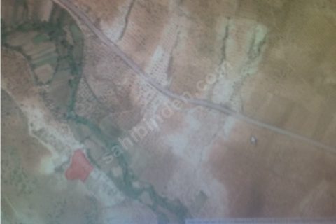 altındagda yola sıfır fıstıklık