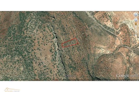 ECEM EMLAK BAĞLARBAŞI 3850 m2 YATIRIM YERİ İLAN NO5  BAĞLARBAŞI
