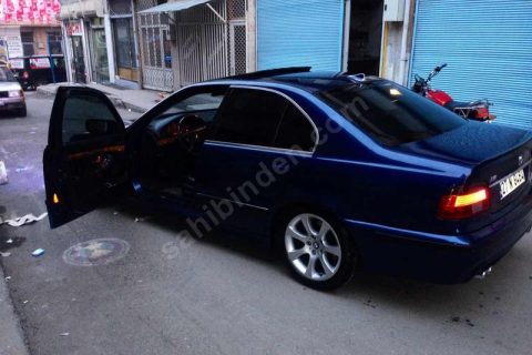 M5 yavrusu