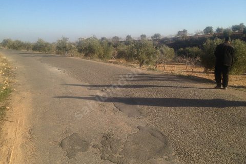 Sahibinden satılık asfalt üstü zeytin ve fıstıklık 917 mtre