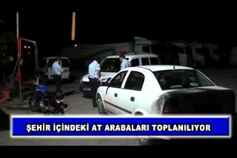 şehir içindeki at arabaları toplanılıyor