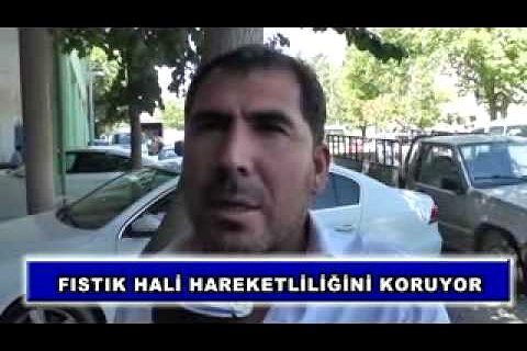 Fıstık hali hareketliliğini koruyor