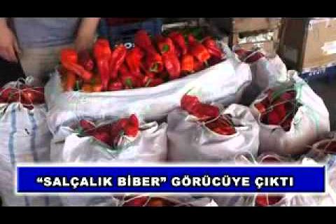 ?salçalık biber? Görücüye çıktı