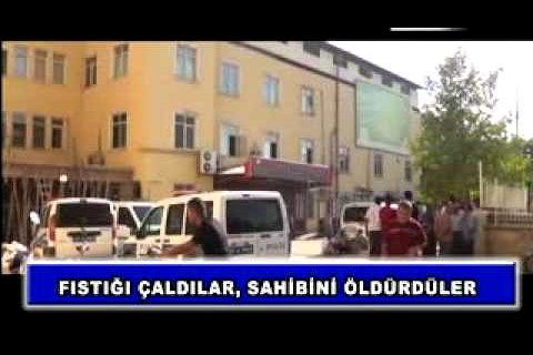 Fıstığı çaldılar, sahibini öldürdüler