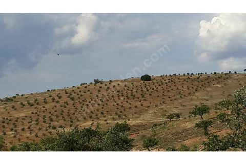 uygun fiyata arazi