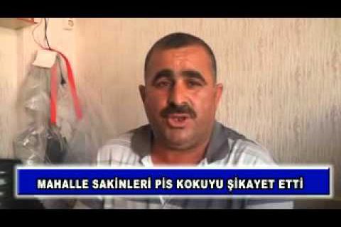 Mahalle sakinleri pis kokuyu şikayet etti