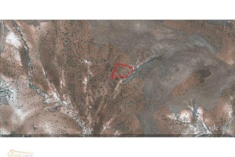 ECEM EMLAK NİZİP SÖĞÜTLÜ 12000 m2 YATIRIM YERİ İLAN NO 306