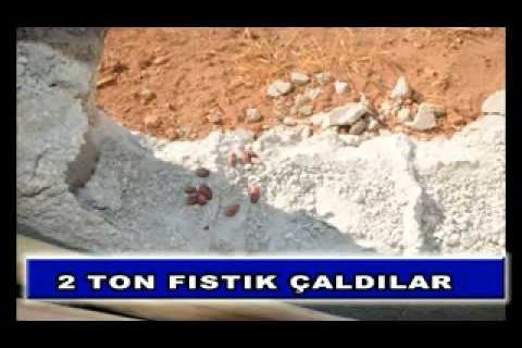 2 ton fıstık çaldılar