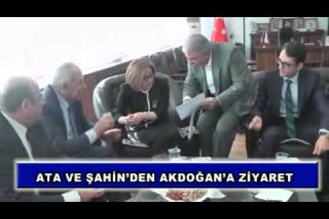 Ata ve şahin