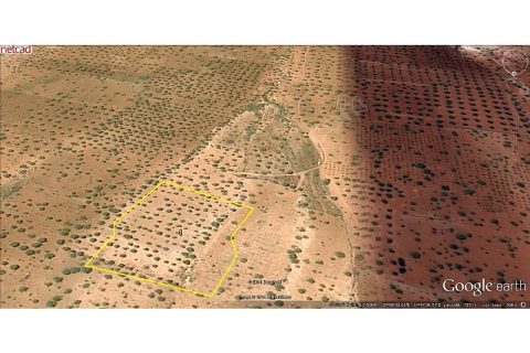 EZEL EMLAK DAN ALTINDAĞ DA 8150 m2  BATAL LA ARASIN DA 1500 MTR