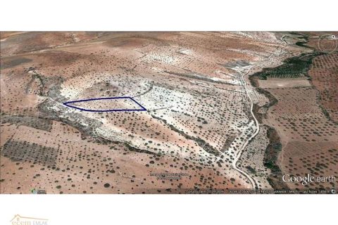 Ecem emlak'tan nizip sekili'de  6200 m2 yatırım yeri ilan no 462