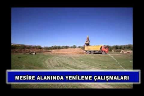 Mesire alanında yenileme çalışmaları