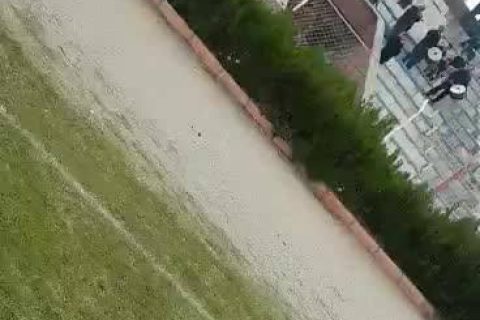Video - Evet haydi maça bu tribün dolmalı