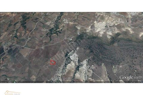 ECEM EMLAK KİLİS MUSABEYLİ 13000 m2 YATIRIM YERİ İLAN NO 319