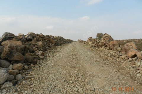 Sahibinden satılık 93 dönüm tarla