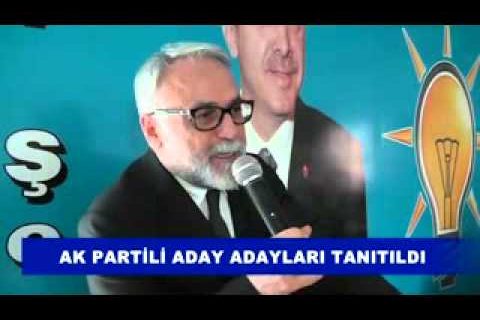 Ak parti internet