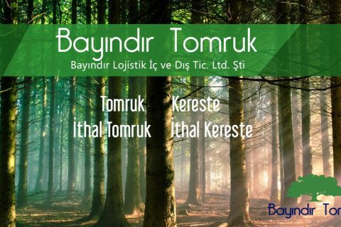 Kereste, Tomruk ve Orman Ürünleri Satışı