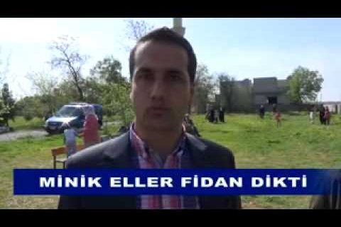 Minik eller fidan dikti