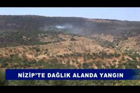 Nizip'te Dağlık Alanda Yangın