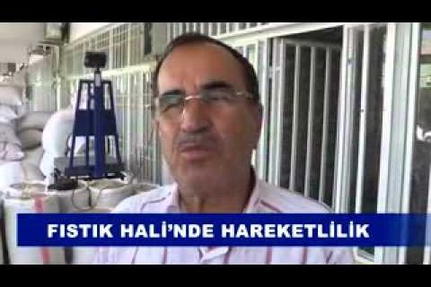 Fistik hali’nde hareketlilik