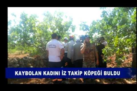 Kaybolan kadini iz takip köpeği buldu