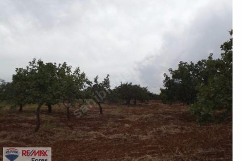 Nizip'te 5.000 m2 sanayi arsasi+8.000 m2 fistik bahçesi
