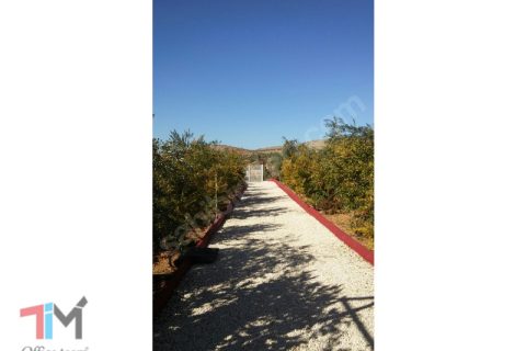 Nizipte full eşyali satilik bağ evi çiftlik evi