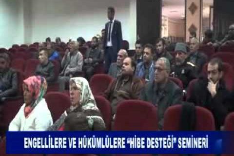 Engellilere ve hükümlülere “hibe desteği” semineri